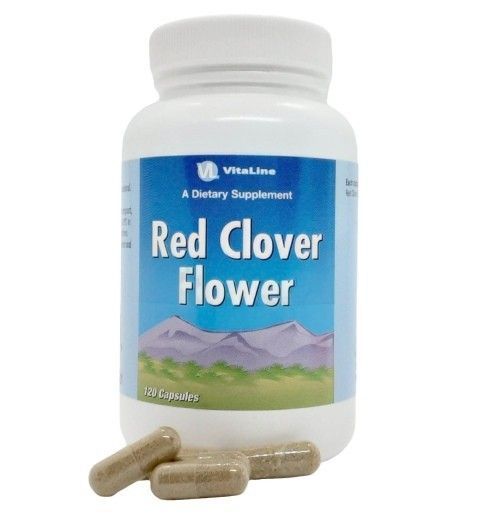 Цветки красного клевера / Red clover flowers 1039586420 фото